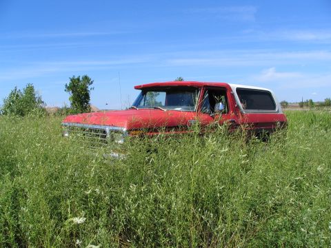 1978 Ford Bronco - A red and white 1978 Ford Bronco sits in a field of tall grass under a clear blue sky.