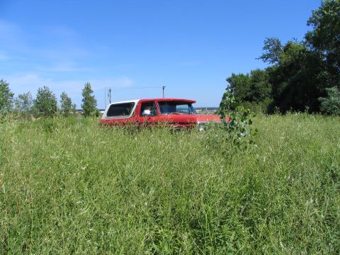 1978 Ford Bronco - A red and white 1978 Ford Bronco sits partially obscured by tall grass under a clear blue sky.