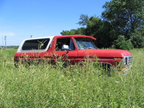 1978 Ford Bronco - This 1978 Ford Bronco is partially obscured by overgrown vegetation in a rural setting.