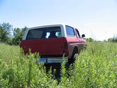 1978 Ford Bronco - This red SUV is partially obscured by tall weeds, with a white roof and tinted windows.