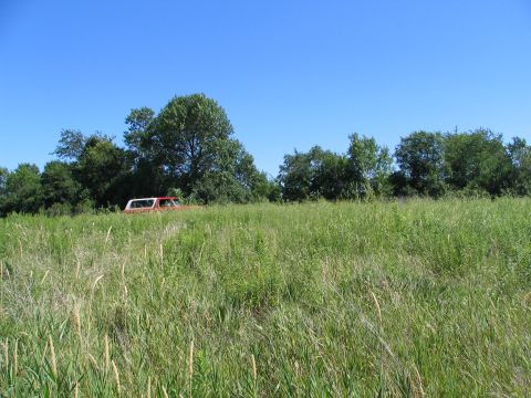 1978 Ford Bronco - 1978 Ford Bronco sits partially hidden in a field of tall grass under a clear blue sky.