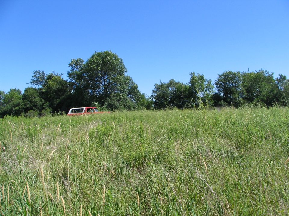 1978 Ford Bronco parked in tall grass with trees in background