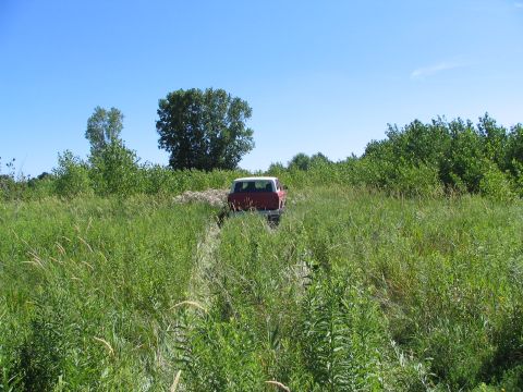 1978 Ford Bronco - 1978 Ford Bronco navigates a grassy field under a clear blue sky.