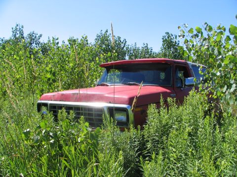 1978 Ford Bronco - just a cool shot