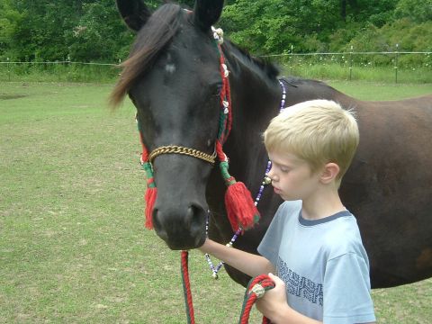1989 Ford Bronco - A boy stands next to a horse adorned with colorful tassels and beads.
