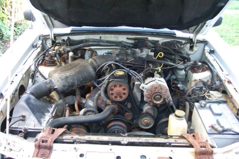 1990 Ford Mustang photo
