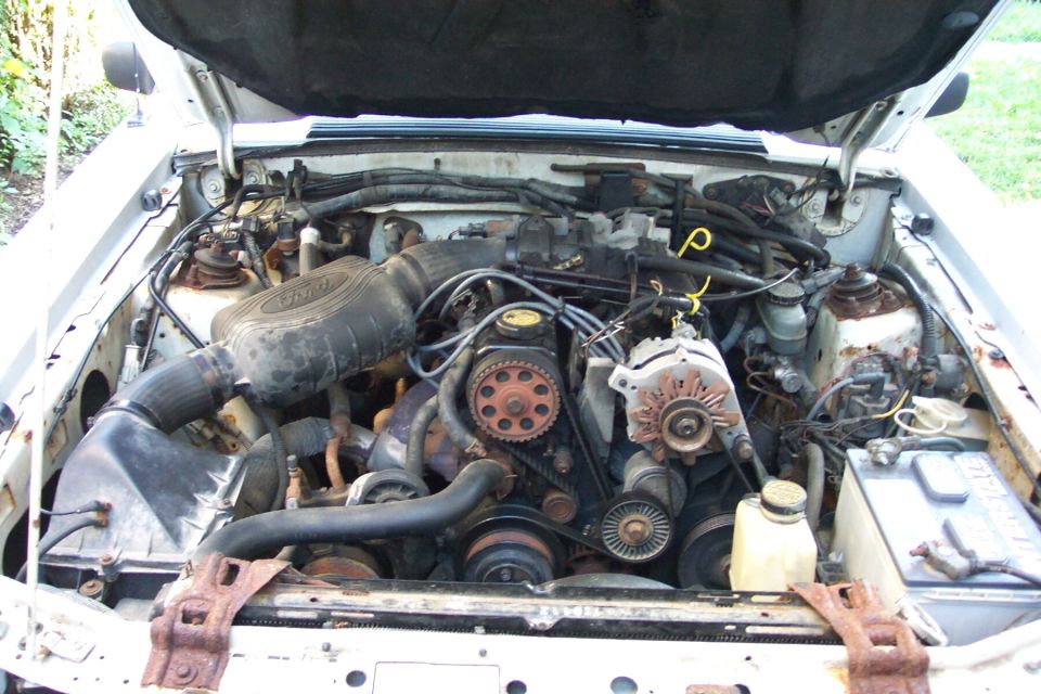 Dusty engine bay of white vehicle with Ford V6, alternator and timing cover visible
