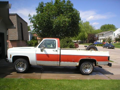 1993 Chevrolet S10 - This two-tone pickup truck, likely from the mid-1970s, is parked in a suburban driveway.