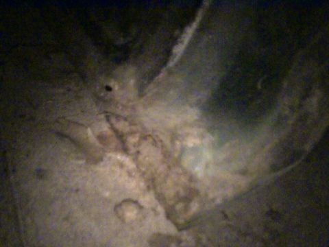 1978 Ford Bronco - This image shows a heavily corroded metal component, likely a car part.