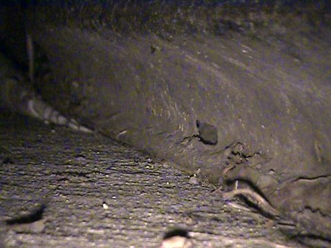 1978 Ford Bronco - Close-up view of the dirty undercarriage of a vehicle, with visible road grime and debris.