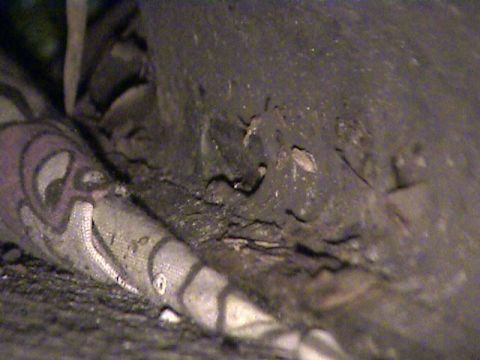 1978 Ford Bronco - A tire with a cartoon face is visible in this close-up shot.