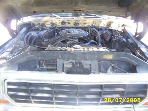 1979 Ford Bronco photo