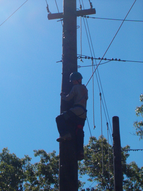 1995 Ford Bronco - Utility worker ascends a wooden pole, surrounded by power lines and trees.