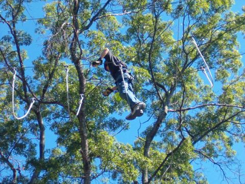 1995 Ford Bronco - Person ziplining through trees with a bright blue sky overhead.