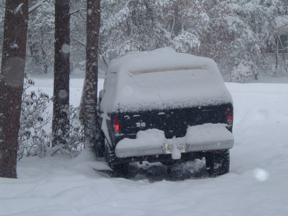 Rear view of a black 1979 Ford Bronco covered in snow, parked between trees