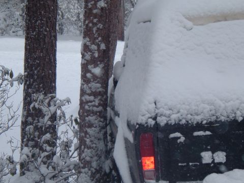 1979 Ford Bronco photo