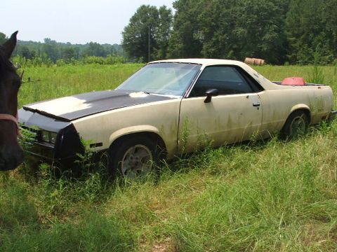 1966 Ford Ranchero - A horse stands next to a weathered pickup truck parked in a field of tall grass.