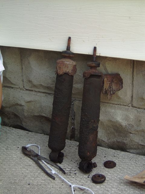 1981 Ford Bronco - Both old shocks.