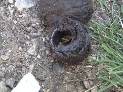1981 Ford Bronco - Blown out shock bushing.