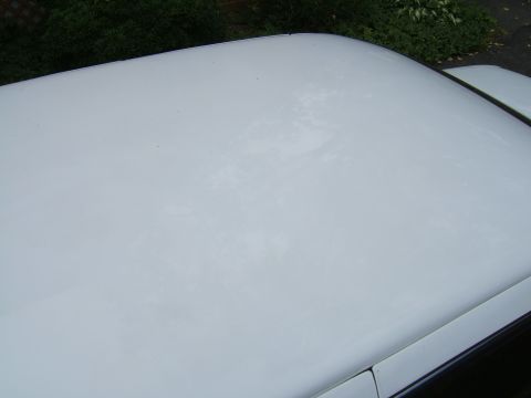 1998 Ford Taurus - White car roof shows signs of wear and discoloration, with a watermark at the bottom right.