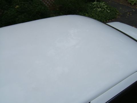 1998 Ford Taurus - The paint on this car's roof is showing signs of wear and fading.