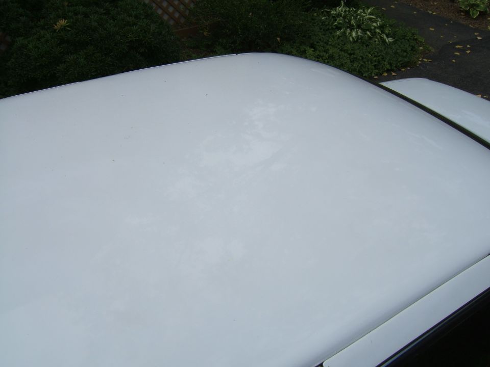 white car roof with faded paint and some dirt specks