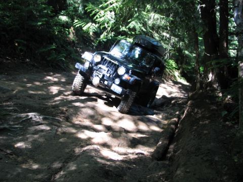 1989 Dodge Power Ram - Jeep Wrangler tackling a challenging off-road trail surrounded by dense forest foliage.
