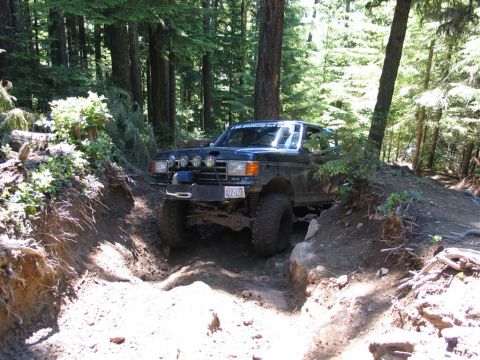 1989 Dodge Power Ram - This modified truck is tackling a challenging off-road trail through a dense forest, with sunlight filtering through the trees.