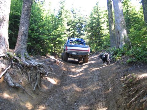 1989 Dodge Power Ram “None Yet”