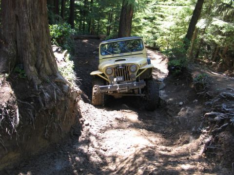 1989 Dodge Power Ram “None Yet”
