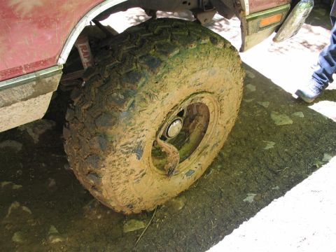 1989 Dodge Power Ram “None Yet”
