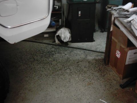1978 Ford Bronco - A white vehicle's rear bumper and tire are visible in a cluttered garage setting.
