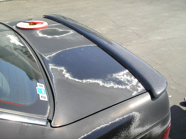 Dark car trunk with peeling paint and a carbon fiber spoiler. A red and white circular object is on the roof