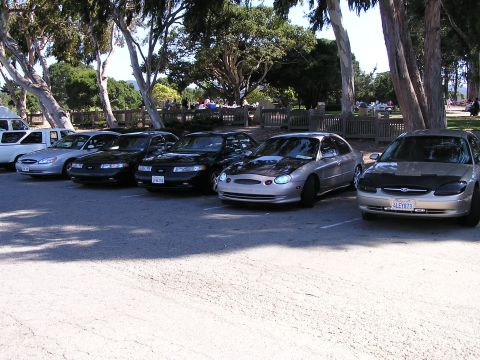 1993 Ford Taurus - A line of Ford Taurus sedans are parked under trees, with one silver model a modified hood.