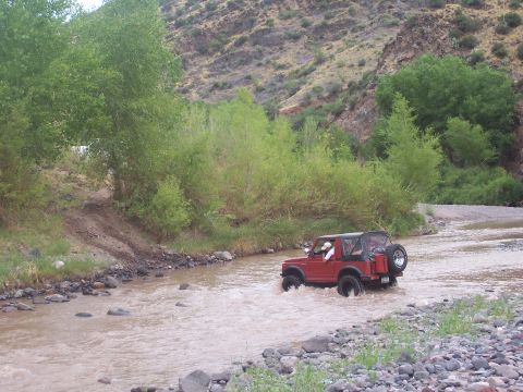 100_1033.JPG