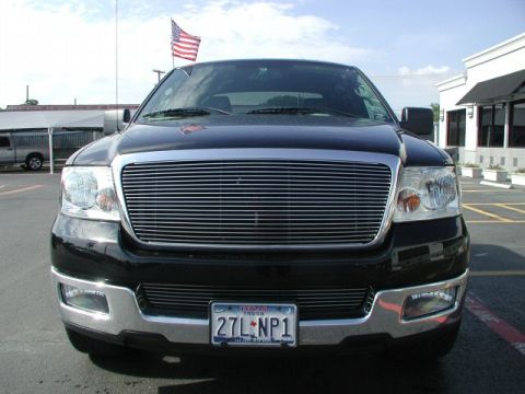 2005 Ford F-150 - Billet Grille