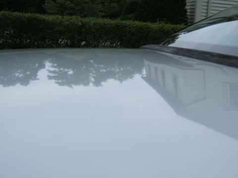 1998 Ford Taurus - The reflection on the car's roof shows a house and trees, but no specific vehicle details are visible.