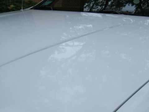 1998 Ford Taurus - Reflections on a white car hood, with a SUPERMOTORS watermark visible.
