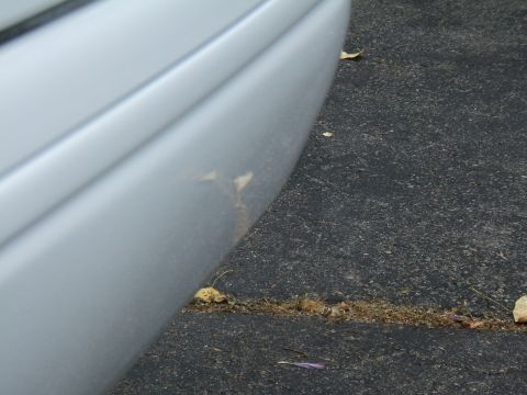 1998 Ford Taurus - A close-up view of a silver car's rear bumper shows some minor scuff marks and debris on the asphalt.