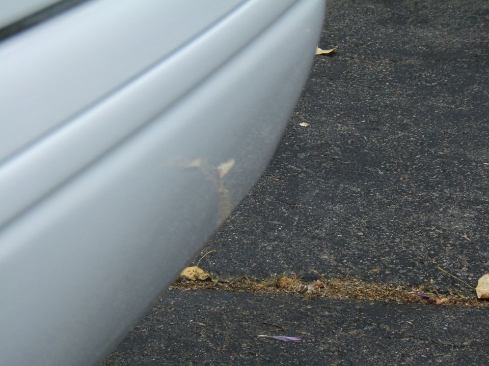 close-up of a silver car's rear bumper with some scuffs