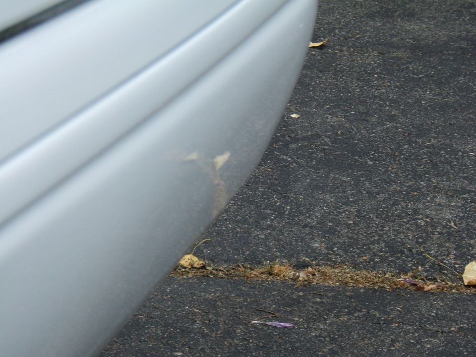Silver car fender detail with asphalt and debris