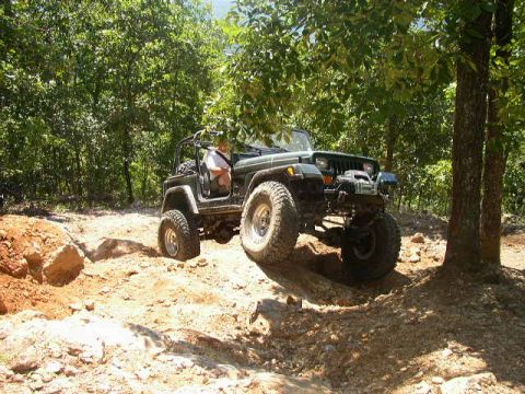 1995 Ford Bronco - Jeep Wrangler navigating a challenging off-road course through trees and rocks.