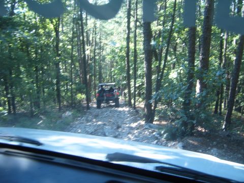 1988 Ford Bronco - An off-road vehicle navigates a rocky path through a dense forest.