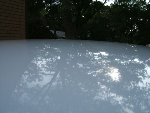 1998 Ford Taurus - The reflection of trees and sunlight on the roof of a car is visible.
