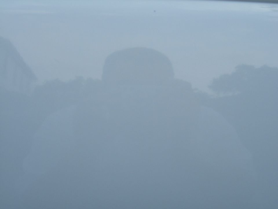 Reflection of a person and trees on a light blue car hood