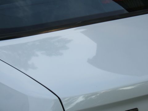 1998 Ford Taurus - Close-up of a white car's rear trunk and window, showing reflections of trees.