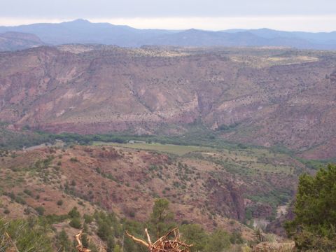 100_1255.JPG