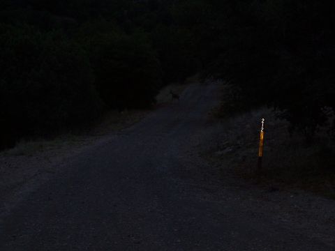 100_1259.JPG