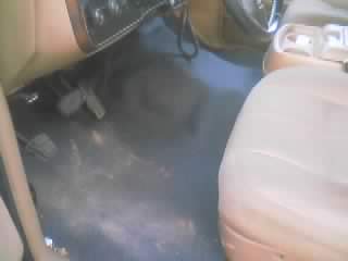 ACC Flooring.. - 1989 Ford Bronco