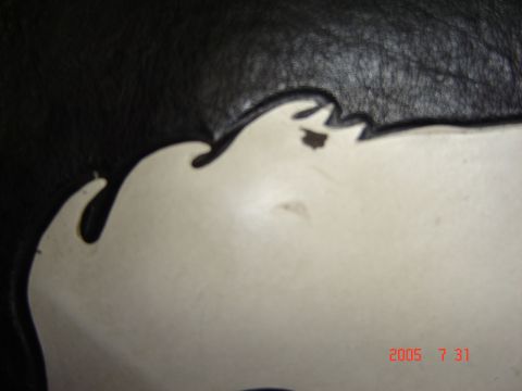 1993 Ford Bronco - A close-up view of a tire cover emblem, a distinctive wavy design and some minor damage.
